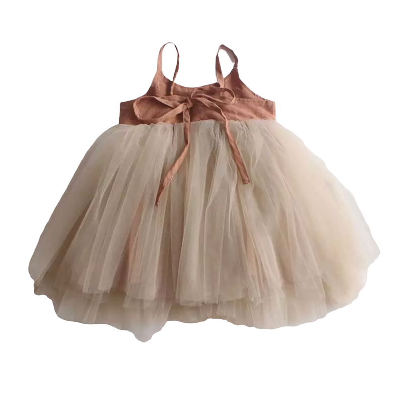 Blush Ballerina Baby Dress